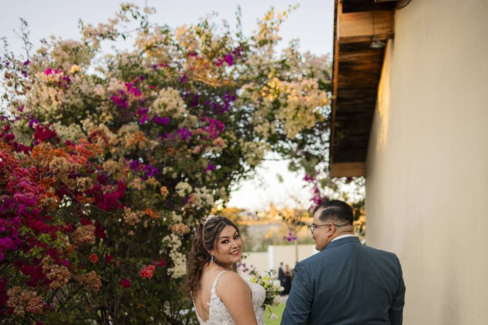 Sesión Formal