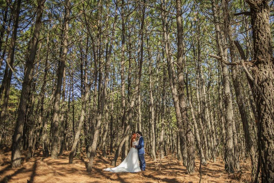 Trash the dress