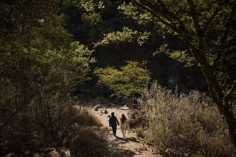 Trash the dress