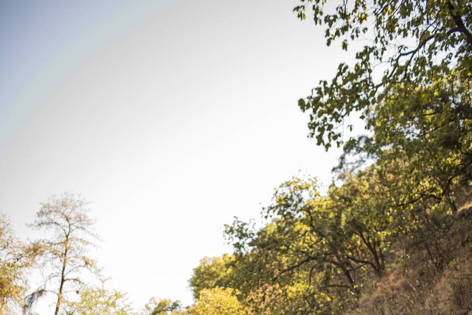 Trash the dress