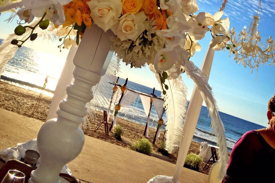 Boda amarillo y blanco mazatla