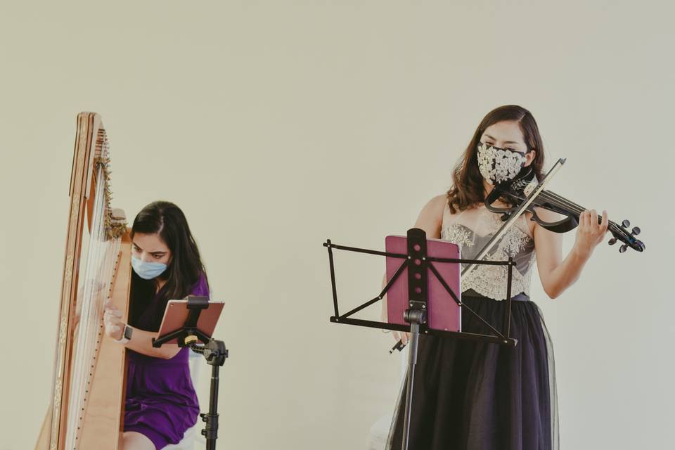 Arpa y violín