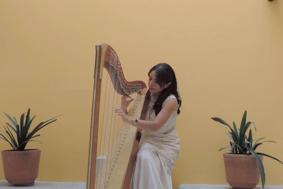 Laudana
