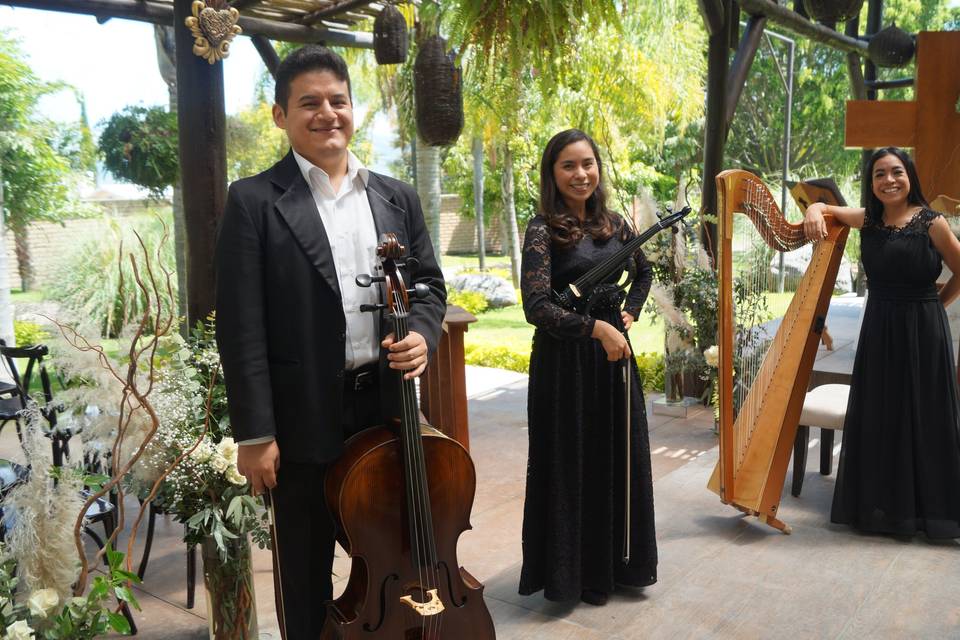 Arpa, violín y cello