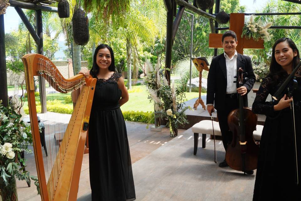 Arpa, violín y cello