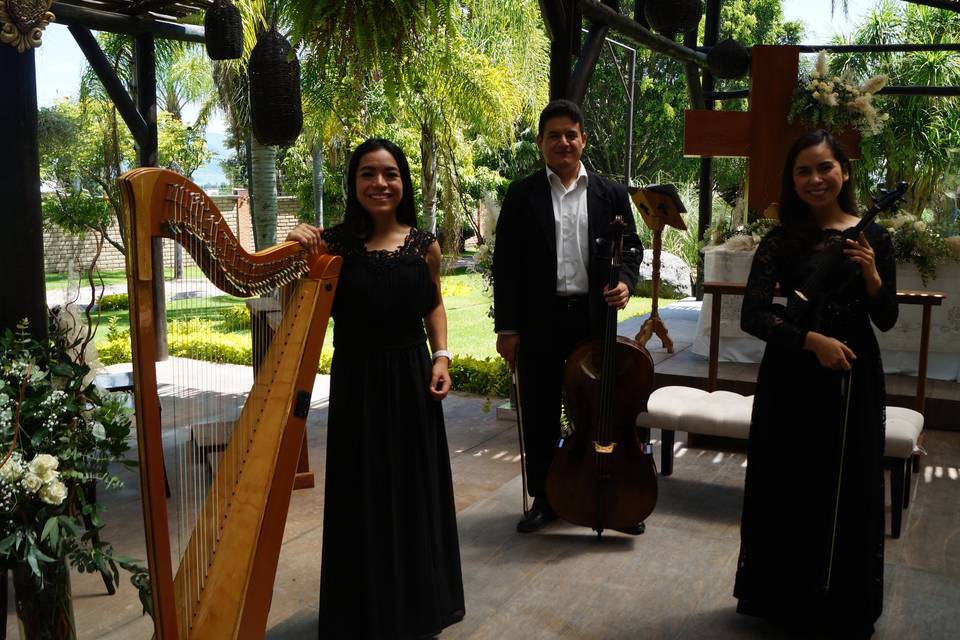 Arpa, violín y cello
