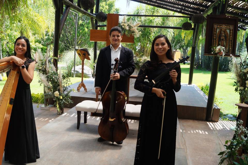 Arpa, violín y cello