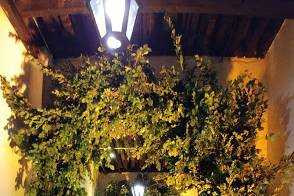 Luces arcos florales