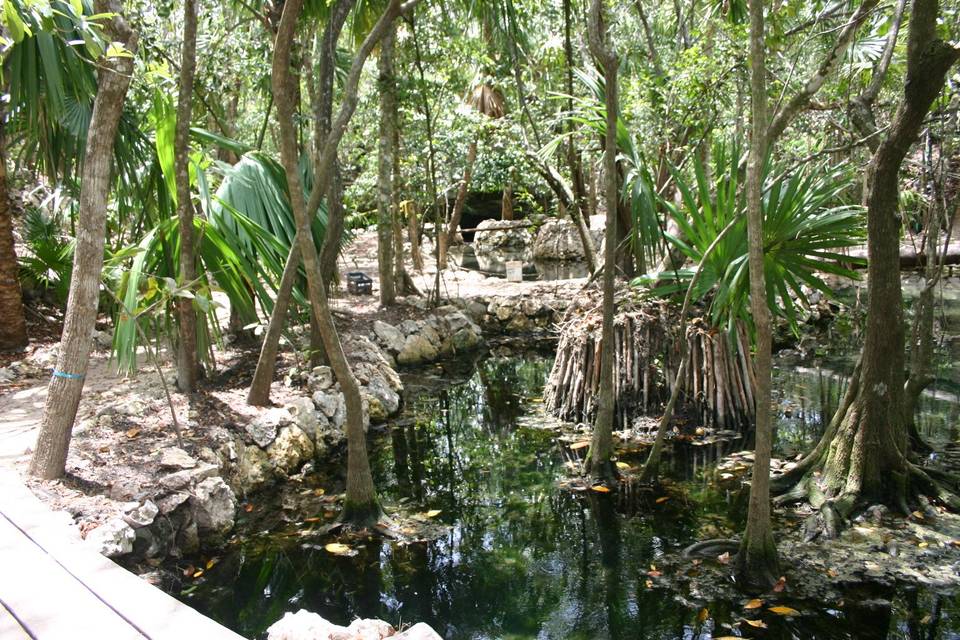 Cenotes