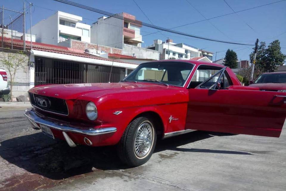 Mustang 66 - Consulta disponibilidad y precios