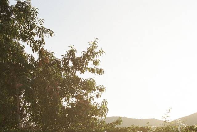 Majo y Sebastián 2023