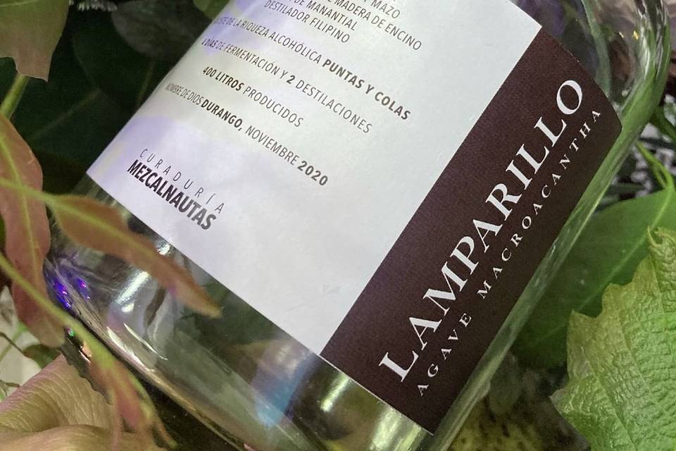 Lamparillo