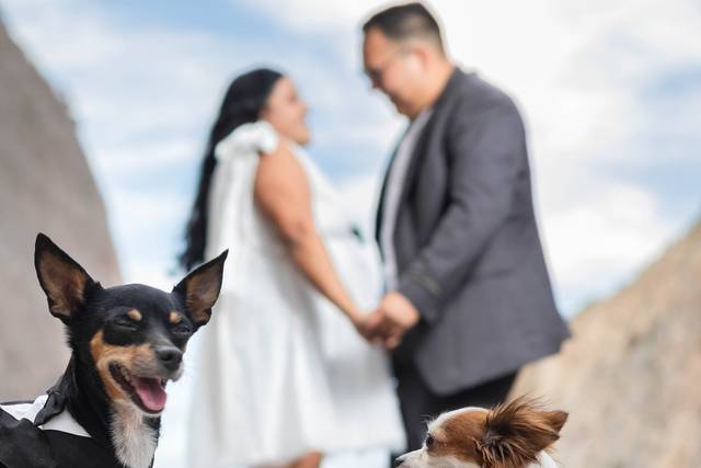 Pareja posando con sus perritos