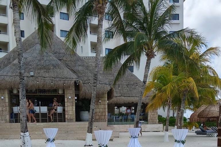 Coctel