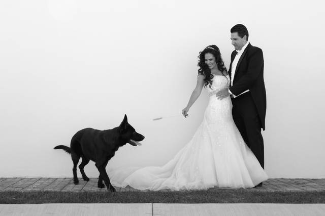 Trash the dress