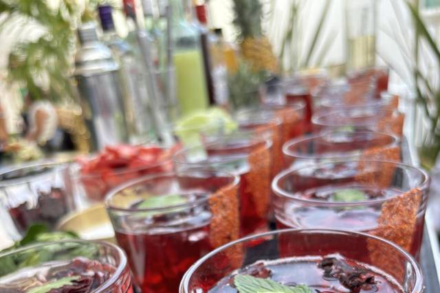 Tragos de Bienvenida