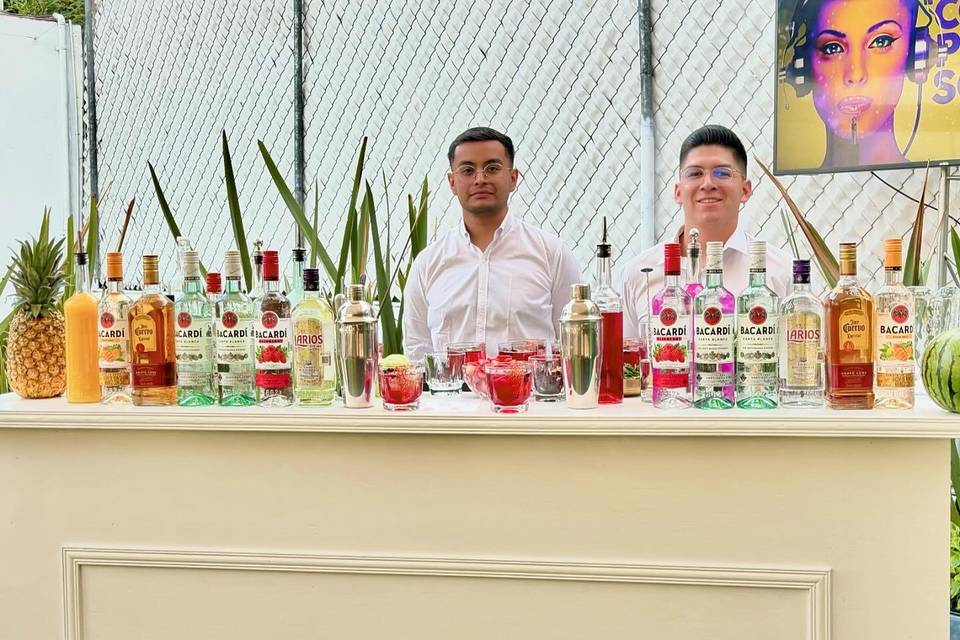 Bartenders profesionales