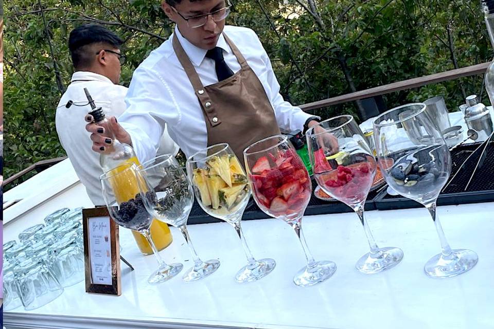 Bartenders profesionales