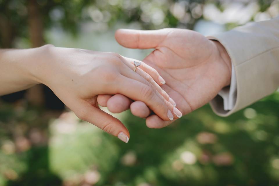 Anillos de bodas