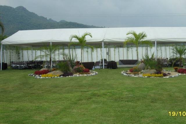 Carpa tradicional