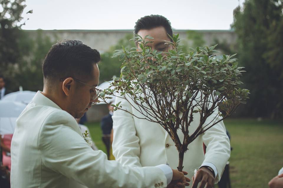 Ceremonia F&A