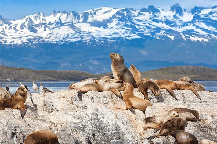 Ushuaia, Argentina