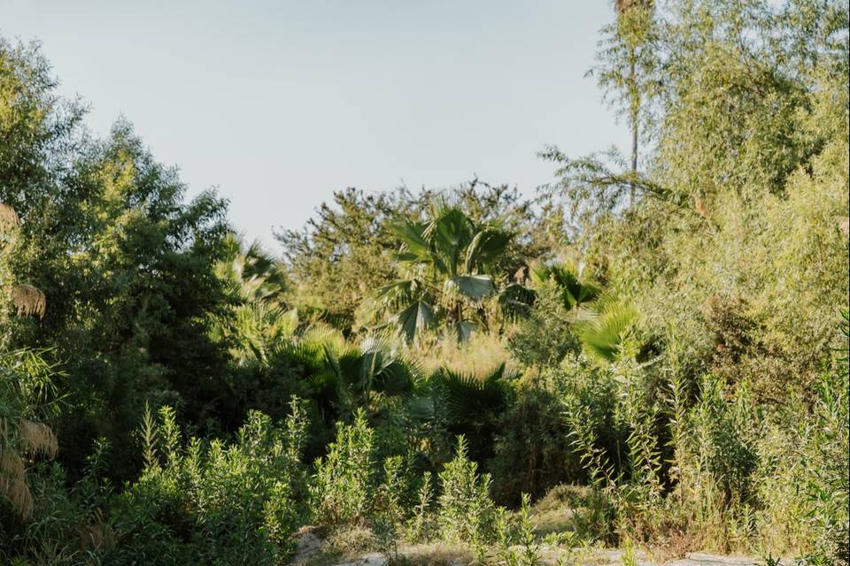 Jardín oasis