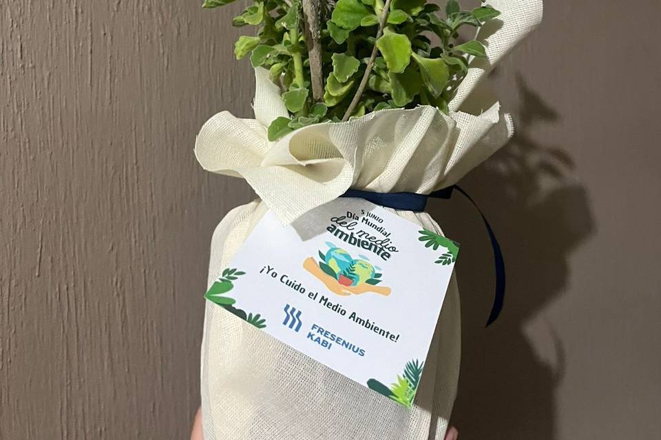 Souvenirs