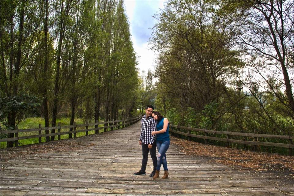 Samuel Zenteno Video & Arte