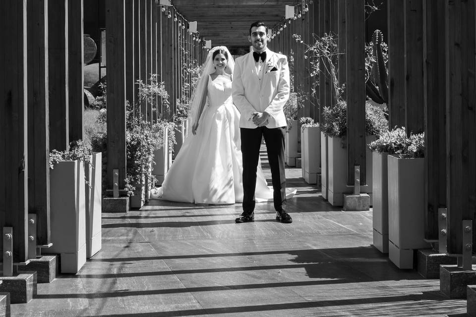 First Look