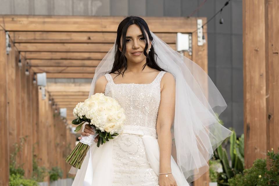 Novia