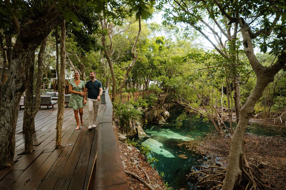 Cenote - The Fives Beach Hotel