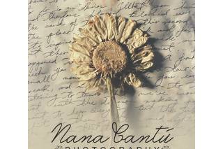 Nana Cantu Photography   Logo