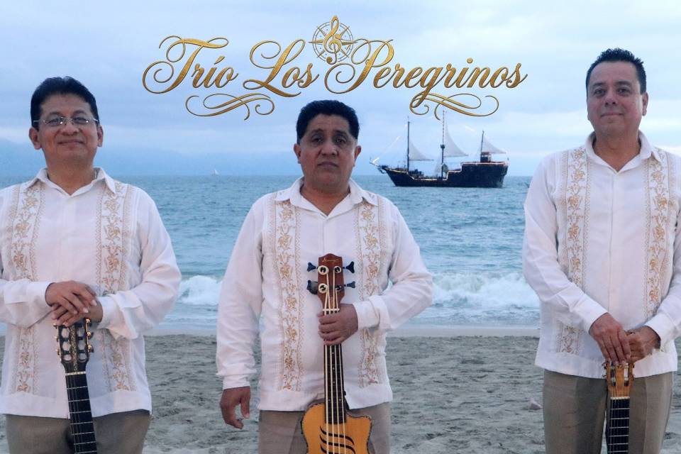 Comercial Para Vallarta