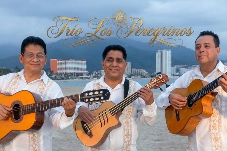 Playa de Vallarta