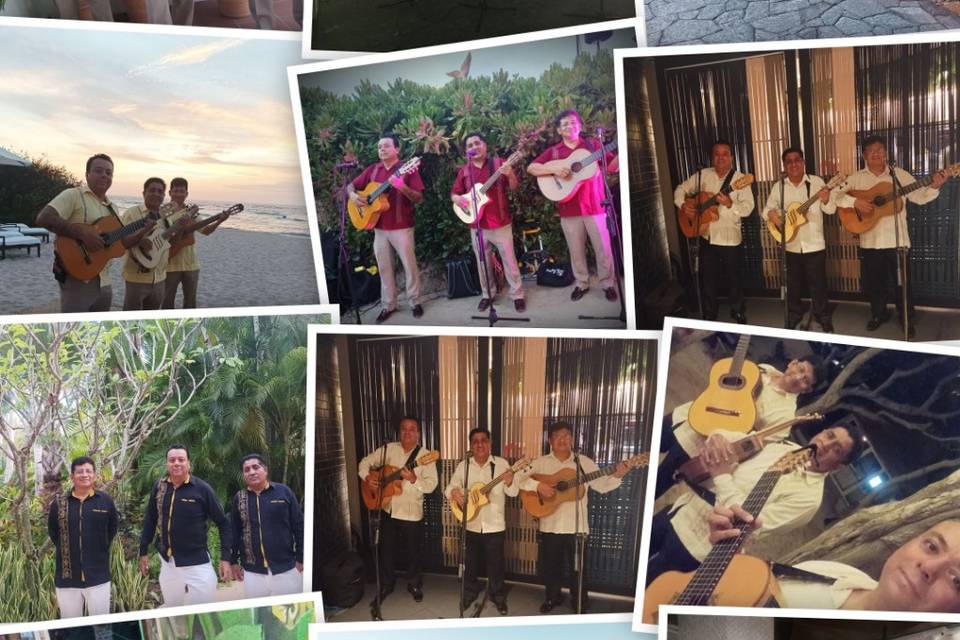Collage