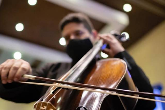 Holiday inn cello
