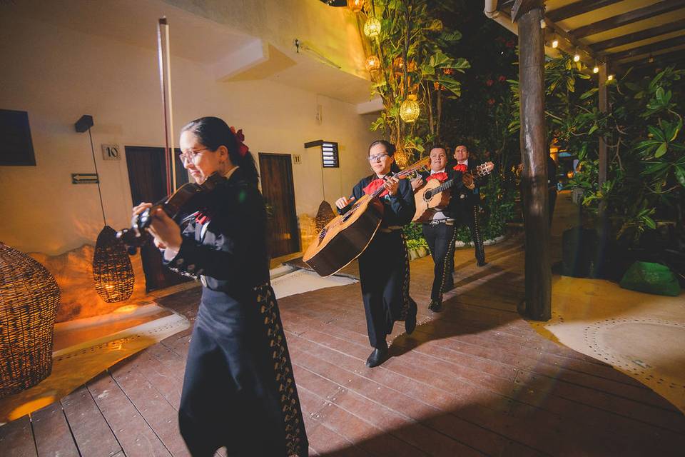 Mariachi