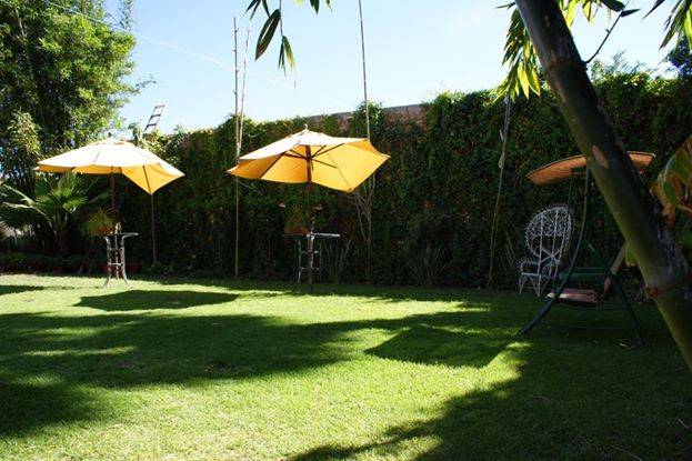 Perfecto para tu evento