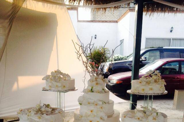 Boda con orquídeas naturales