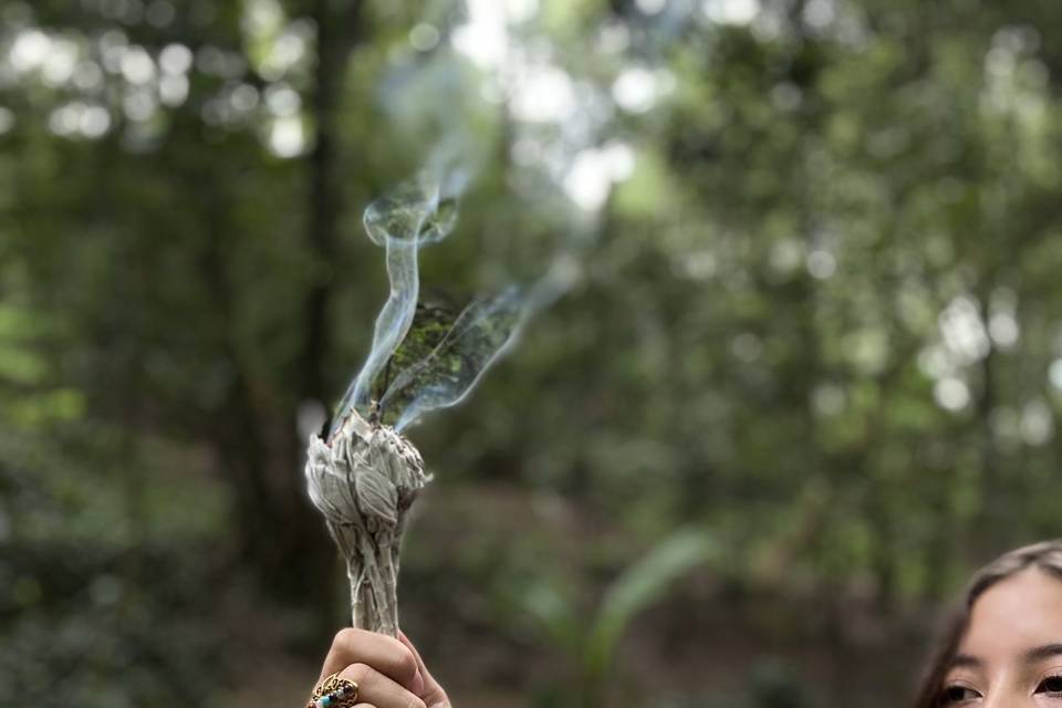 Sahumerios de salvia