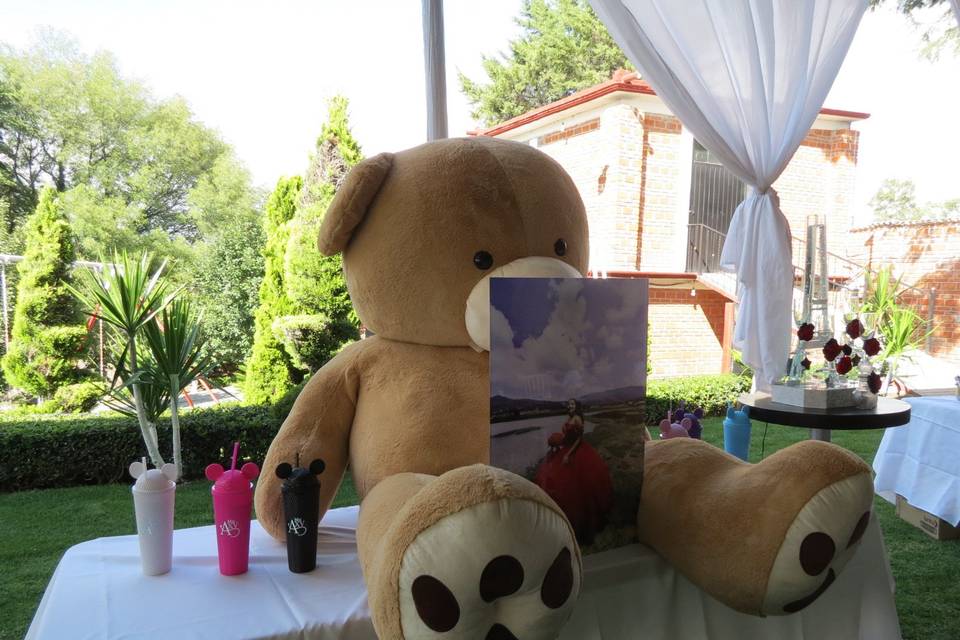 Xv peluche