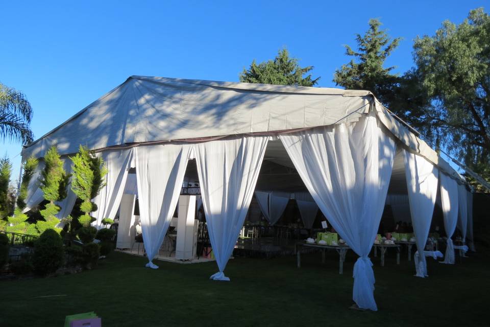 Carpa plisada
