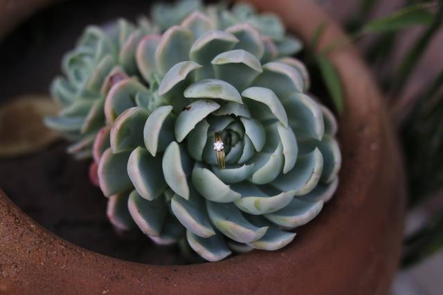 Detalles