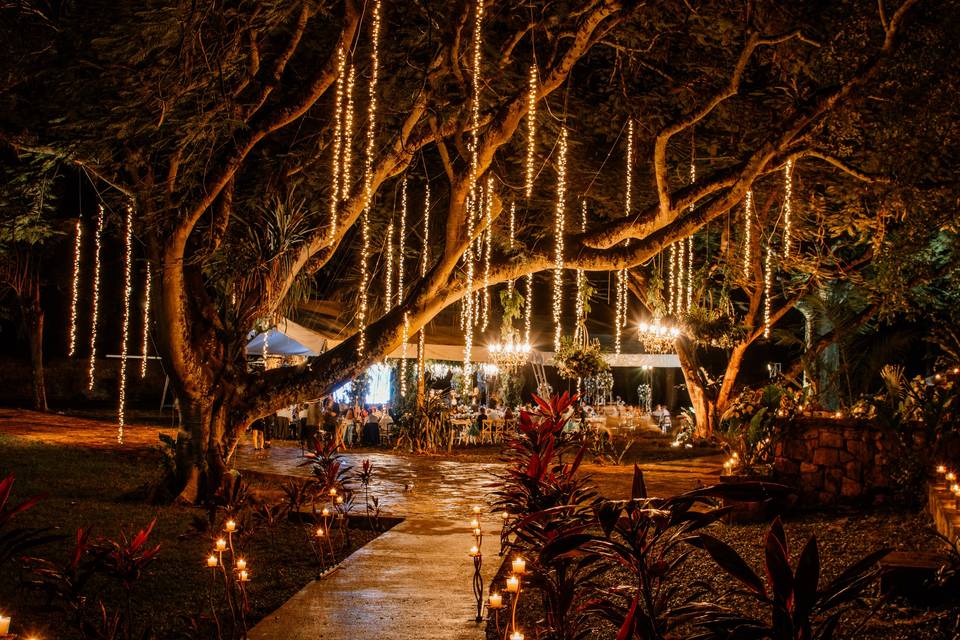 Jardín Principal