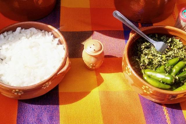 Todo lo que necesitan