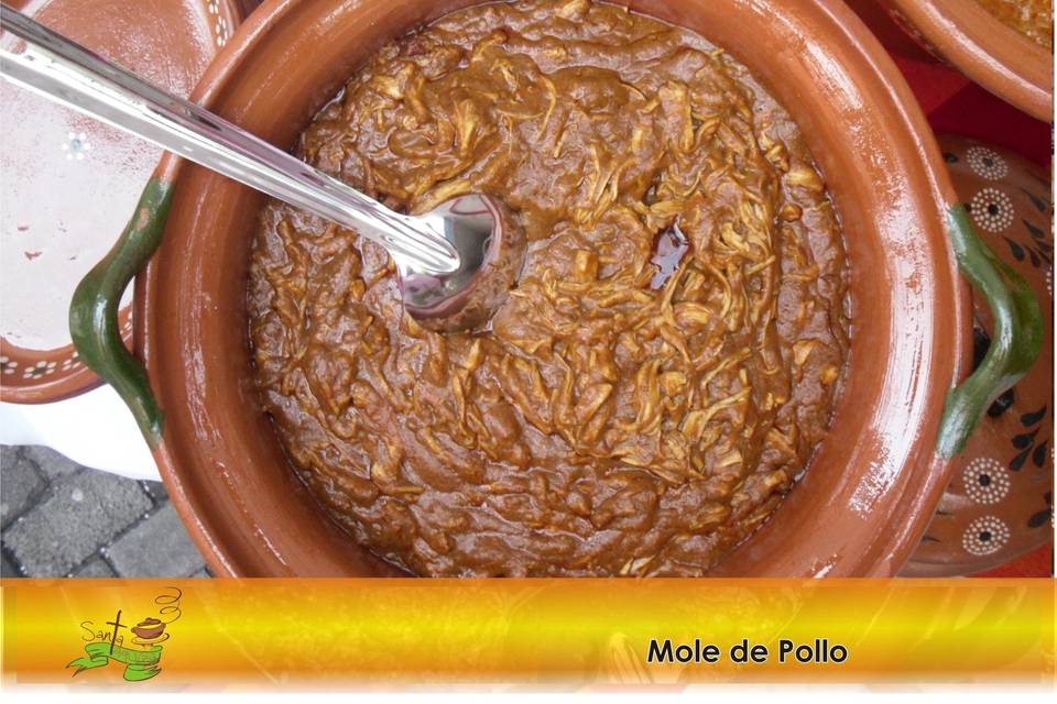 Mole de pollo