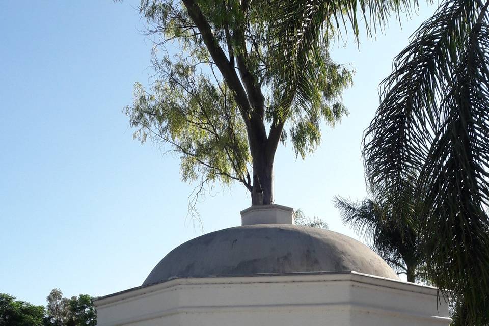 Ceremonias en el kiosco