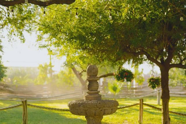 Fuente en el jardín