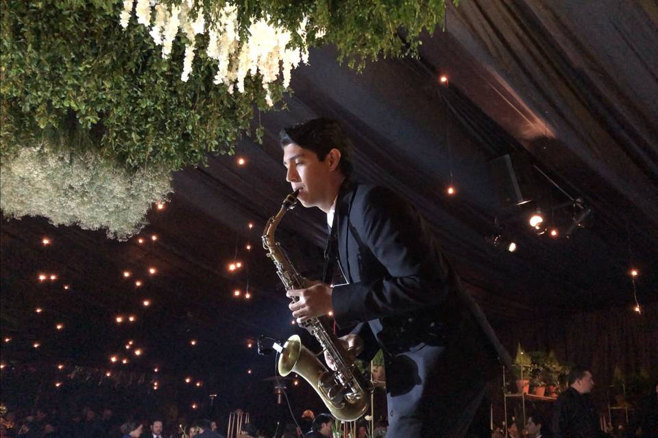 Barberini Eventos